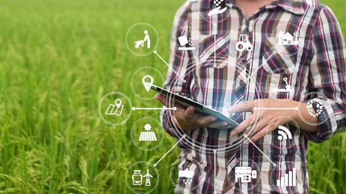 10 Aplikasi Pertanian Terbaik untuk Agribisnis Indonesia 2025 Bisnis agritech modern