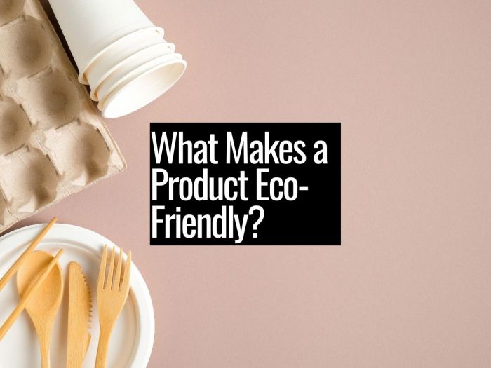 How to Tell if a Brand Really is Eco-Friendly